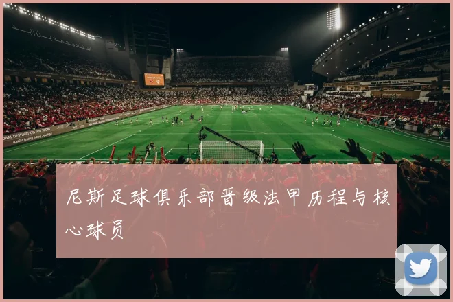 尼斯足球俱乐部晋级法甲历程与核心球员