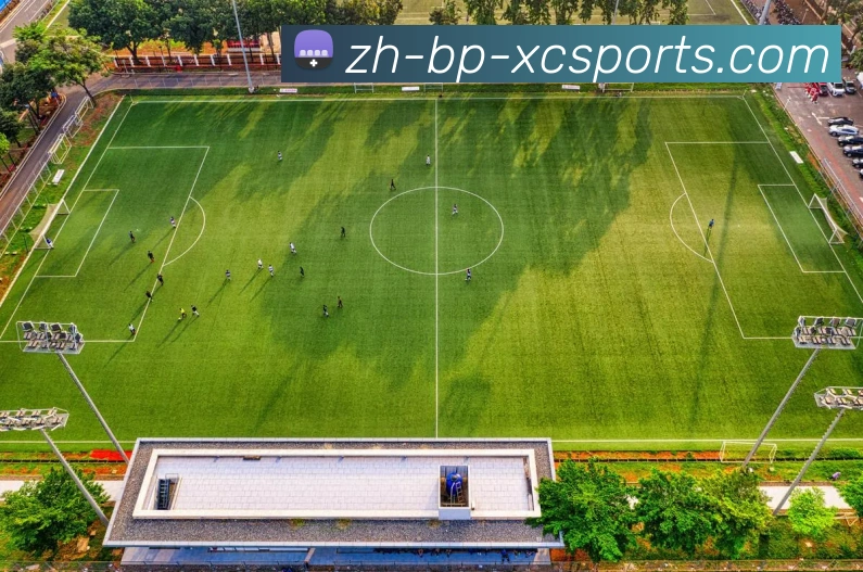 杏彩体育APP 封面图